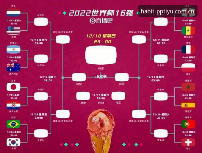 打开就是世界杯那天的习惯zh哪个好？PP体育2018世界杯入口最新动态引用户追问